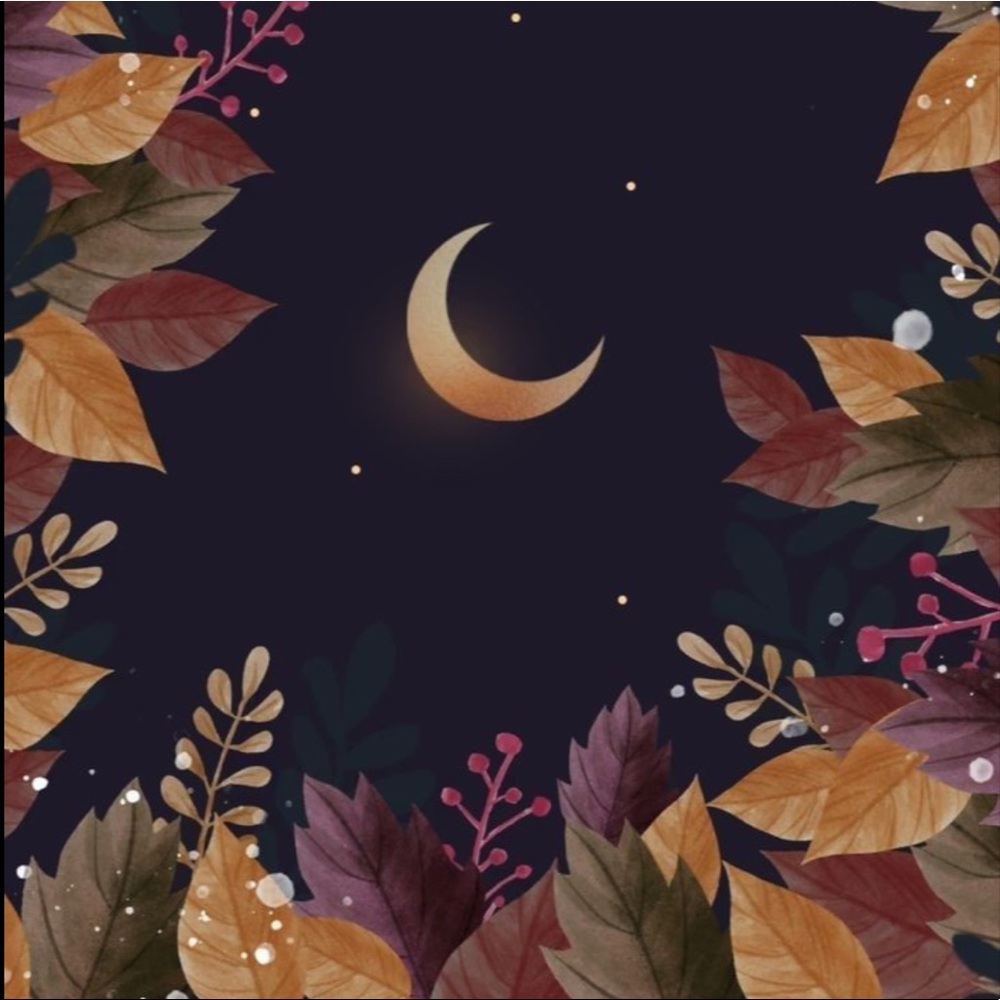 Meet your Posher, Stephani